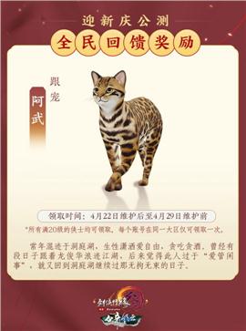 修仙史诗天龙八部私服